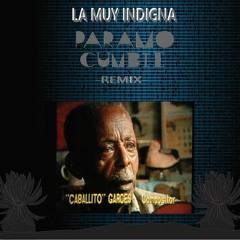 Caballito Y Su Conjunto  - La Muy Indigna (Paramo Cumbie Remix)