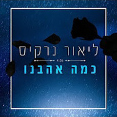 כמה אהבנו Lior Narkis