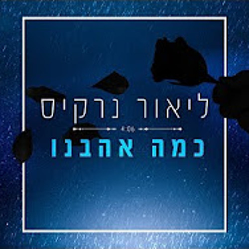 כמה אהבנו Lior Narkis