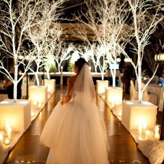 A Thousand Years Sample (With Instrumental)