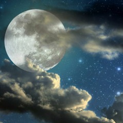 Just Chill Out and Accept Yourself // (THC Recommended)