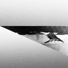 PREMIERE: Avidus - Revenge of The Whales [Hommage]