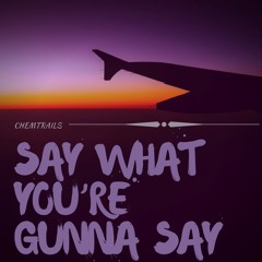 Say What You're Gunna Say