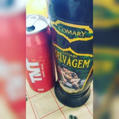 MINHA PLAYLISTS