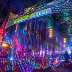 Electric Forest 2018 Bass Rush Mix