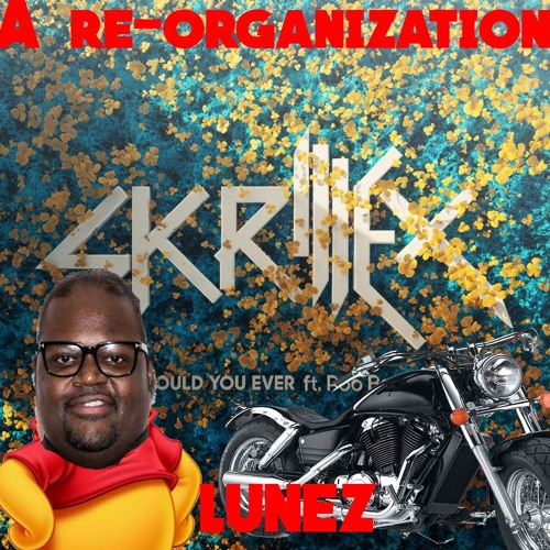 Skrillex and Poo Bear -Would You Ever(Lunez re-organization)