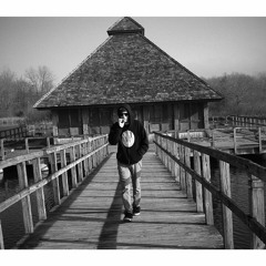 Tyler krych - Tau Hollow