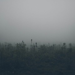 `brouillard