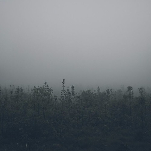 `brouillard