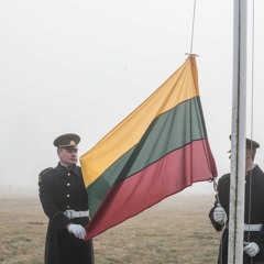 Lietuvos Partizanų Maršas - Alytė