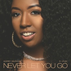 Never Let You Go (feat. D. Lylez)