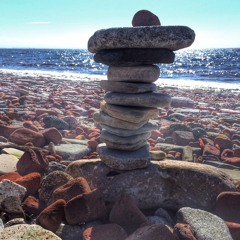 Basking Sharks - Hideaway