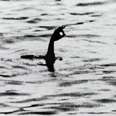 compondo.....................................