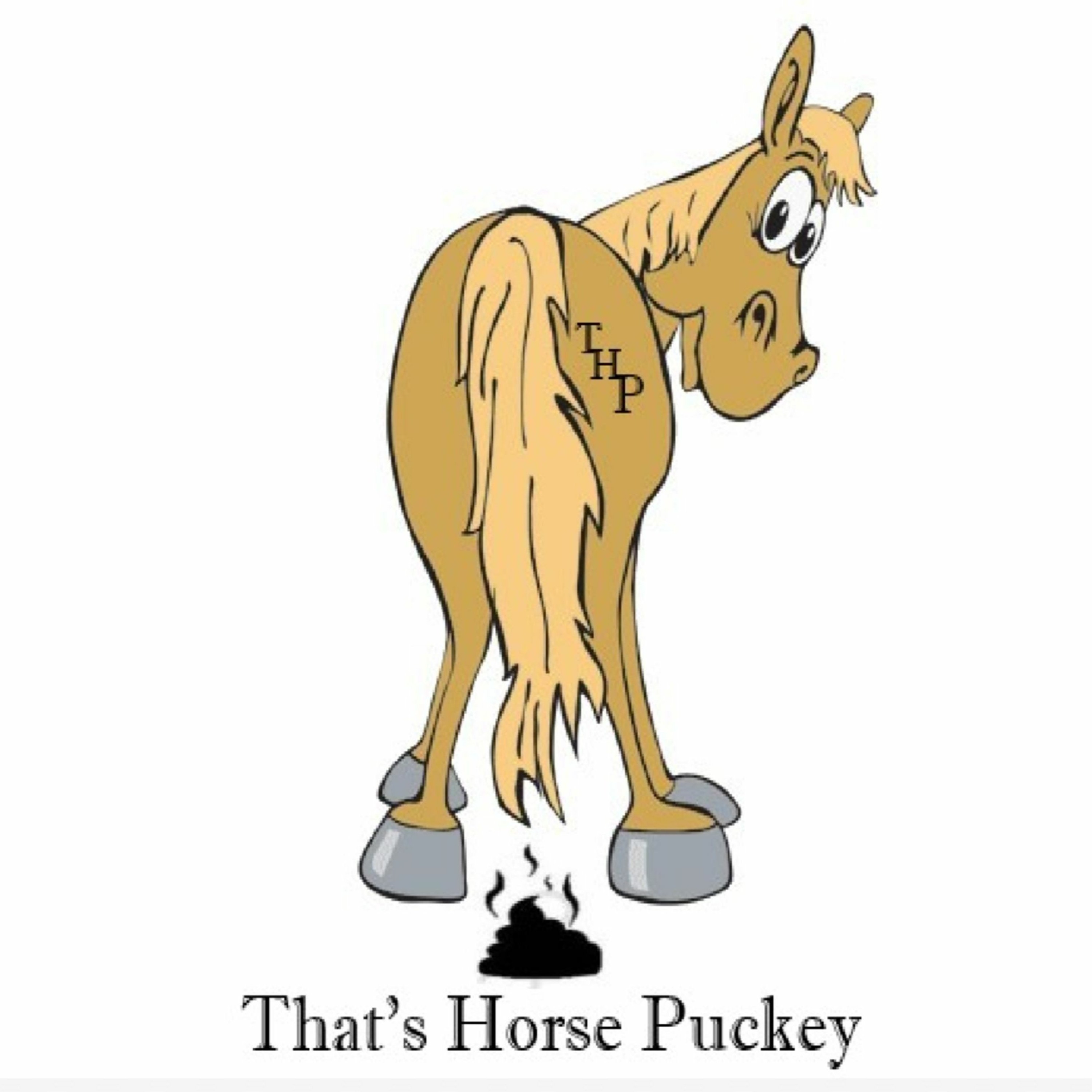 Winterizing Your Horse episode artwork