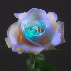 i cant love a lil hoe (feat. nyck ;-;)