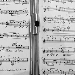 Quantz Flute Concerto in G Major: III Allegro