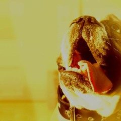 Furfriend - Walk With It [endote remix]