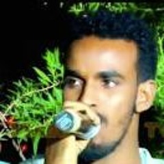 Suldaan Seeraar Heesta Neecawda