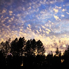 The Chill Playlist