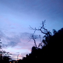 Cant Help Falling In Love
