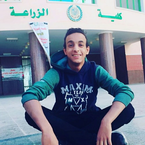 مهرجان حبه دلع 👌👌