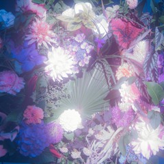 Stream ((eill)) music | Listen to songs, albums, playlists for