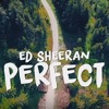 Ed Sheeran - Perfect - BREAKBEAT 2018 REMIX - req:Muhammad Albar