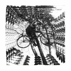 Euternase - Desorientiert