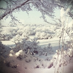 Winter's Bite