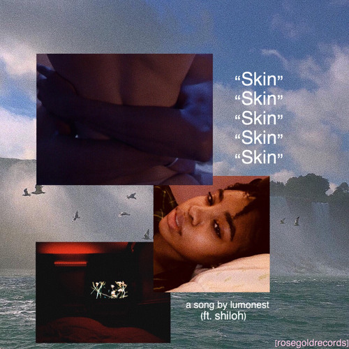 skin (ft.shiloh)