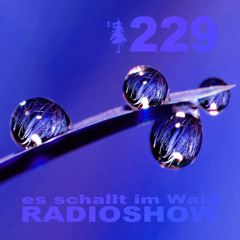 ESIW229 Radioshow Mixed by Cult Jam
