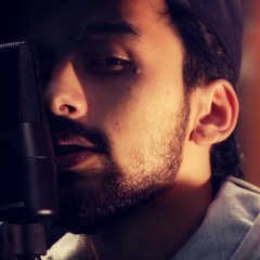 Lalit Singh - Bohemia Mashup (8 songs 1 beat)