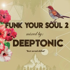 FUNK YOUR SOUL 2