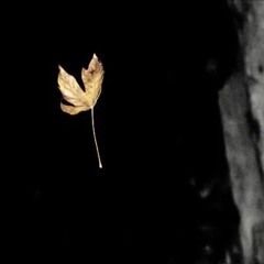 Monic&Nima-Az Fekre Man Bogzar