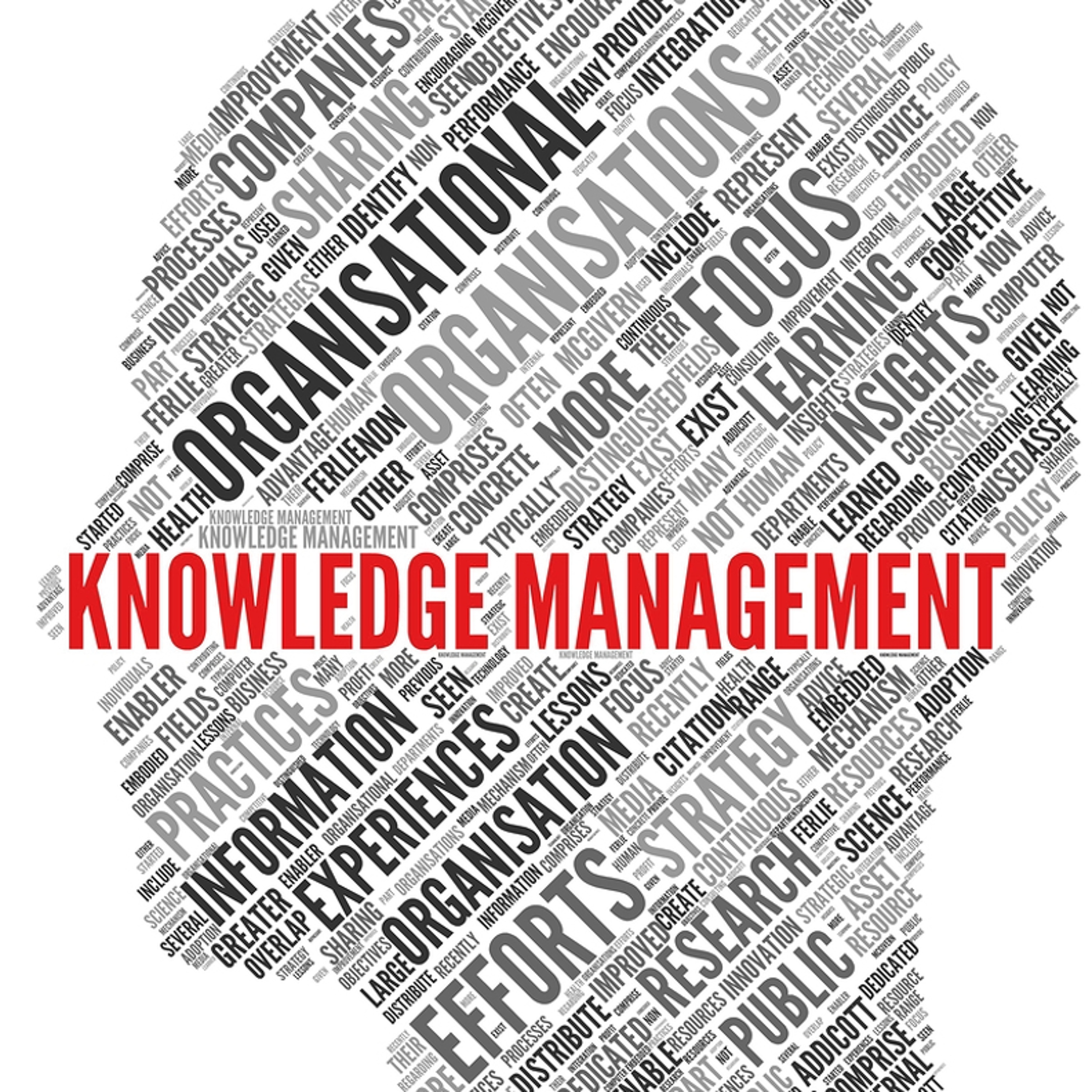 Управление знаниями необходимо для. Управление знаниями. Управление знаниями картинки. Knowledge Management. Управление знаниями в организации.