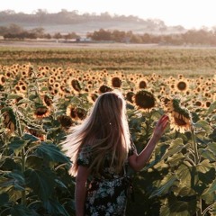 (Paddy Sun) Sunflower - Sergey Yarovoy