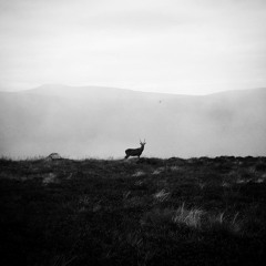 Scarborough Fair Cover - Simon and Garfunkel / Celtic Woman