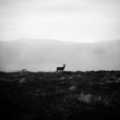 Stream Scarborough Fair Cover Simon And Garfunkel Celtic Woman By Thrifleganger Listen Online For Free On Soundcloud