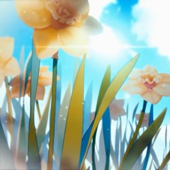 Mystic Messenger V Route Opening -Light and Daffodils