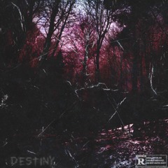 Destiny [prod. Lil Lean x Blackfish]