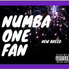 Numba One Fan (Freestyle)