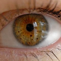 Numb w/Kendal on vox