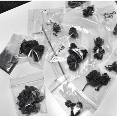 4thdrop Everything White