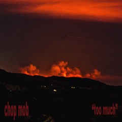 too much (yvng soup x yvng activist) (prod. YP)