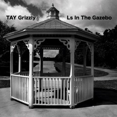 GRIZZ - STEAM (Ls In The Gazebo)