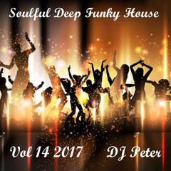 Soulful Deep Funky House Vol 14 2017 - DJ Peter Sound Cloud Edition (Shorter)