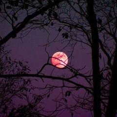 Found In Your Love ( a sad interlude)