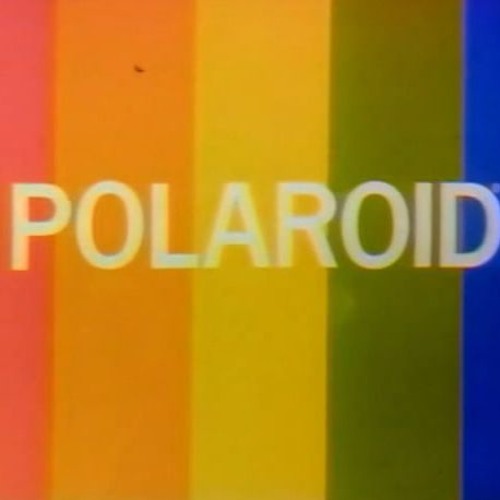 Polaroid
