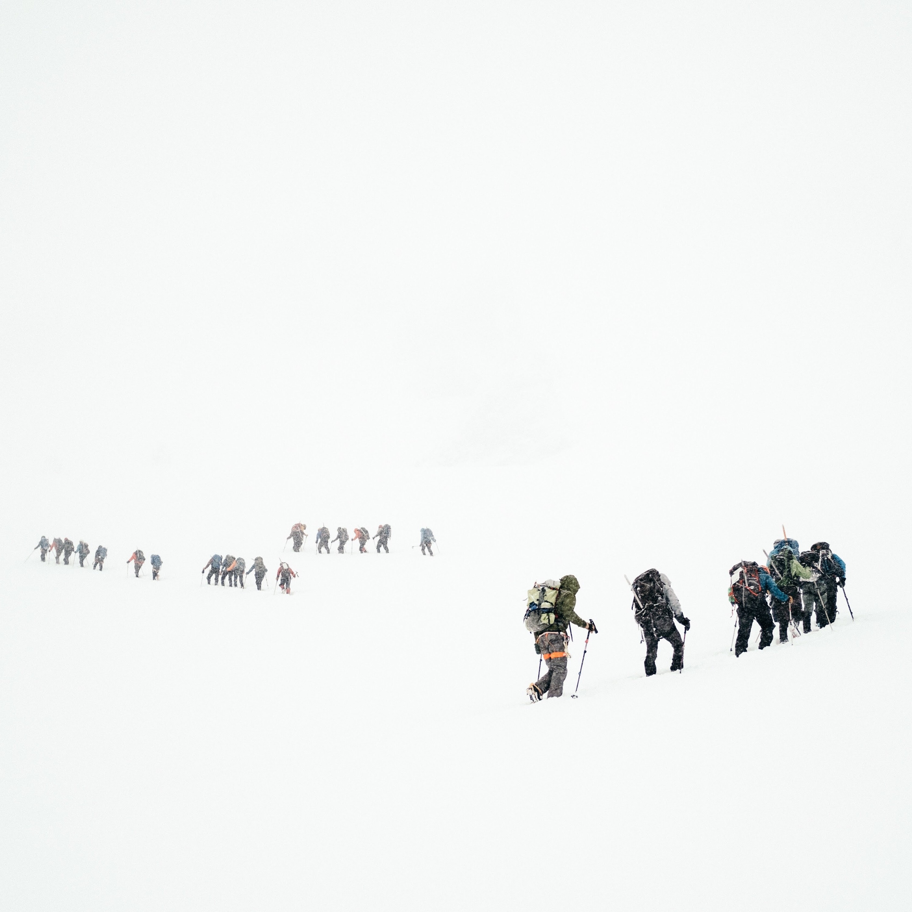 Into The Wild episode artwork