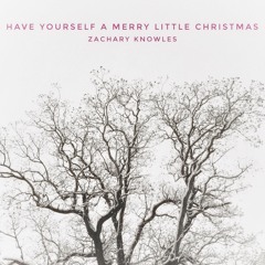 Have Yourself A Merry Little Christmas